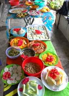 VANUATU - AMBRYM - ENDU Buffet lunch with the VOLCANODISCOVERY group
(photo: Yashmin Chebli)