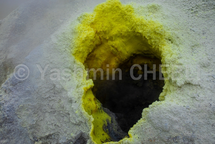 17082019-fumarole-vent-adorned-with-sulfur-crystallizations-in-the-mutnovsky-crater-kamchatka-08-2019-4573 