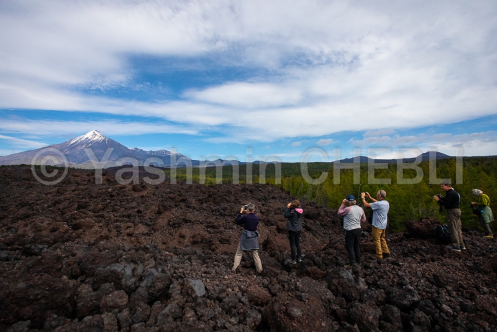 20082019-a-group-observing-the-ostry-plosky-tolbachik-volcano-complex-and-tolbachinsky-dol-area-kamchatka-08-2019-4692 