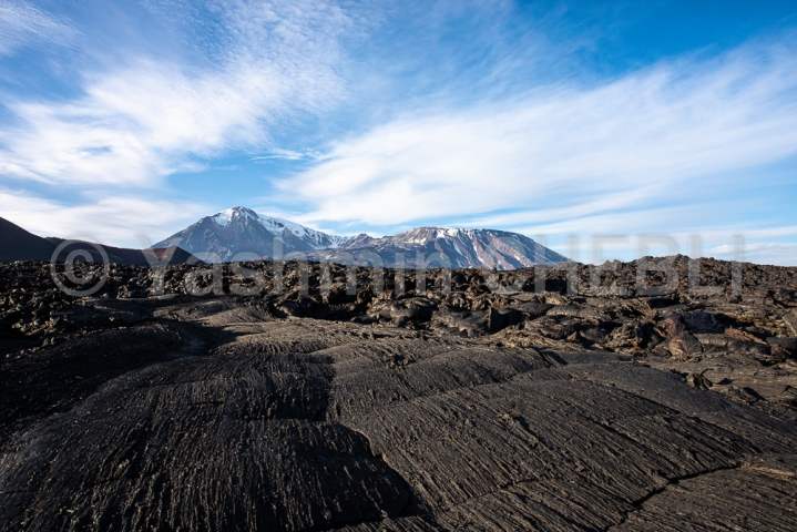 20082019-pahoehoe-lava-field-of-tolbachinsky-dol-area-kamchatka-08-2019-4827 