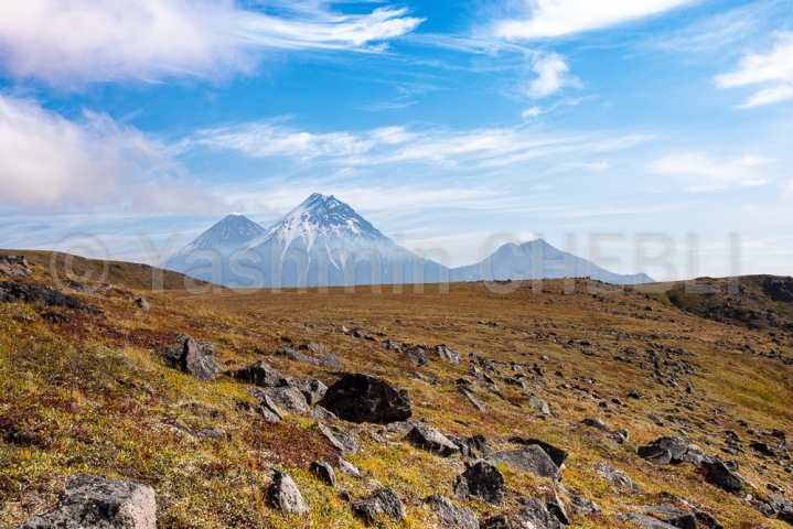 25082019-landscape-of-the-volcanic-highlands-with-klyuchevskoy-kamen-bezymianny-volcanoes-kamchatka-08-2019-5879 