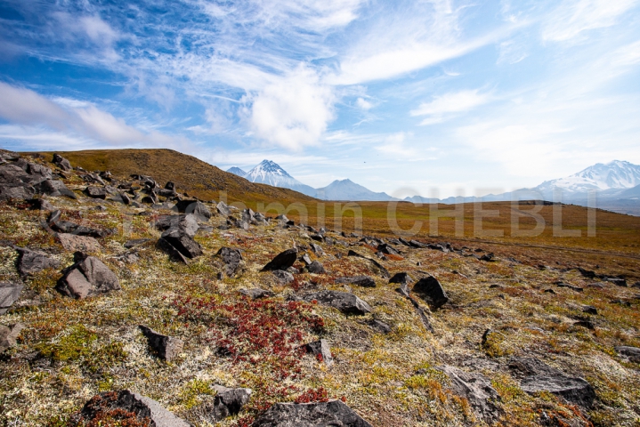 25082019-landscape-of-the-volcanic-highlands-with-klyuchevskoy-kamen-bezymianny-zimina-volcanoes-kamchatka-08-2019-5870 