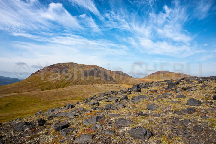 25082019-landscape-of-the-volcanic-highlands-near-bezymianny-kamchatka-08-2019-5866 